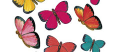 Stickers Insectes