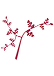 Stickers branche d�coup�e � la forme dans vinyle de couleur unie.