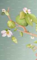 Stickers fleurs.