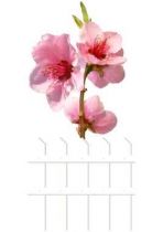 Stickers p�cher