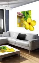 Stickers Alamanda