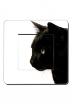 interrupteur chat noir