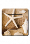 interrupteur coquillages