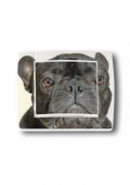 Interrupteur d�cor� t�te de chien