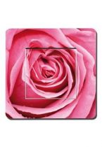 interrupteur rose