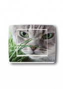 interrupteurs d�cor�s t�te de chat