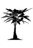 Sticker argent oriental