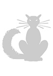 Sticker chat. Filou. Sticker chat d�coup� � la forme dans vinyle de couleur unie.