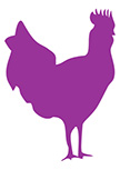 Sticker coq