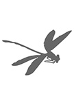 Sticker libellule d�coup�e � la forme dans vinyle de couleur unie.