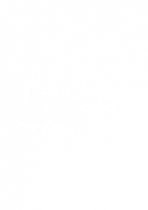 Sticker licorne