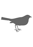 Sticker oiseau