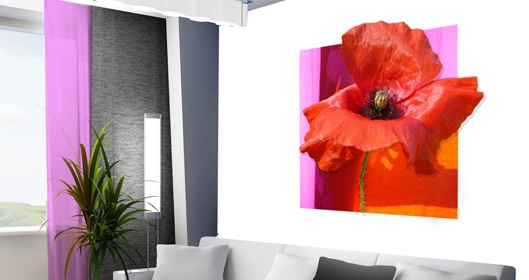 stickers 3d coquelicot pour la d�co du salon