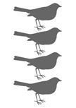 Stickers 4 Oiseaux
