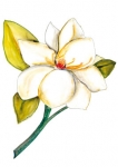 stickers muraux fleurs