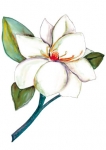stickers muraux floraux
