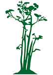 stickers arbre d�coup� � la forme dans vinyle de couleur unie.