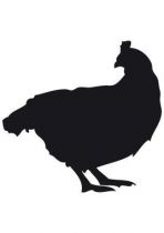 Stickers ardoise poule.