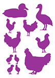 Stickers Basse-cour