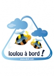 stickers auto bebe