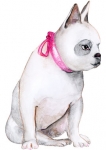 Stickers bulldog