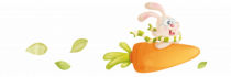 Stickers carotte fus�e