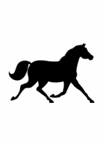 stickers cheval. Vu dans D&CO