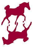 Stickers chevaux