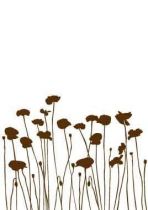 Stickers coquelicot