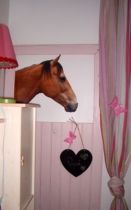 stickers mural equitation