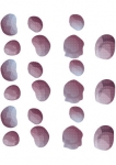 stickers roches
