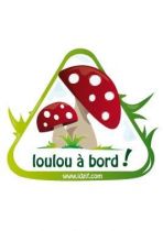 stickers bebe a bord