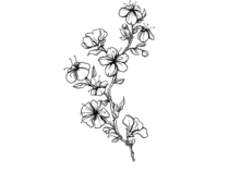 Le stickers fleur sauvage grimpante pour d�corer l\'habitat