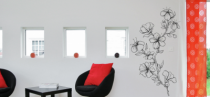 Le stickers fleur sauvage grimpante pour d�corer l\'int�rieur