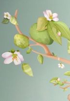 Stickers fleurs