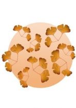 Stickers ginkgo beige