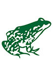 stickers grenouille d�coup�e � la forme dans vinyle de couleur unie.