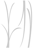 Stickers herbes pour une d�coration verte