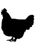 Stickers poule