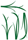 stickers muraux herbes d�coup�s � la forme dans vinyle de couleur unie. Planche de 4 stickers herbes