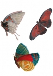 stickers papillon