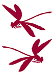 2 Stickers muraux libellules d�coup�es � la forme dans vinyle de couleur unie.