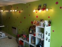 Stickers muraux ronds