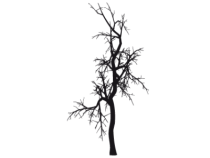 Le stickers nature arbre sans feuilles pour d�corer l\'habitat