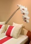 Stickers muraux orchid�e imprim�e sur adh�sif avec d�coupe � la forme.