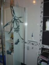 stickers pare douche papillon