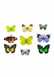 Stickers muraux papillons. 9 stickers papillons imprim�s sur vinyle adh�sif et d�coup�s � la forme. Une belle id�e pour d�corer le mur de votre chambre ou un placard un peu triste.