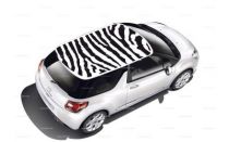 stickers voiture animaux