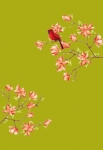 stickers misstigri oiseau
