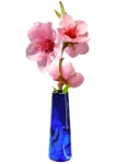 Stickers fleurs de p�cher. Le p�cher est un arbre fruitier qui produit des fleurs roses avant les feuilles � la fin de l'hiver ou d�but du printemps. Ses fleurs roses sont d'un rose p�le et d�coreront avec l�g�ret� vos murs du salon ou m�me de votre salle de bain. Sticker imprim� sur vinyle adh�sif et d�coup� � la forme. Cr�ation Sylvie Zieba 
